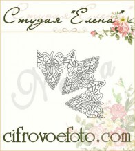 Cvad (17)