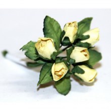 декоративные цветы
