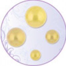 _________________542fe7d70ca30